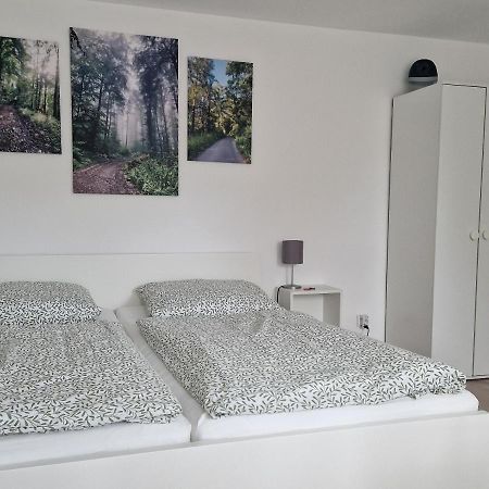 Hotel Waldbergperle Ernsbach à Forchtenberg Extérieur photo